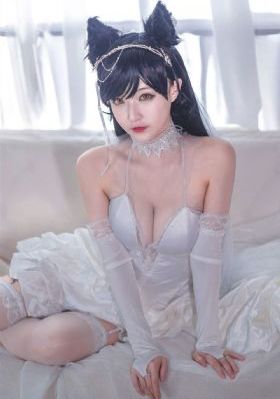 为有暗香来电视剧剧情介绍_BD英语免费观看